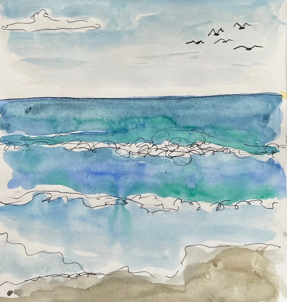 Seascape ink gulls by Florbela Nienaber